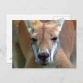 Carte Postale aller (Devant / Derrière)