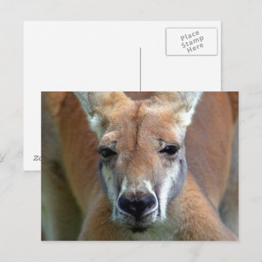 Carte Postale aller (Devant / Derrière)