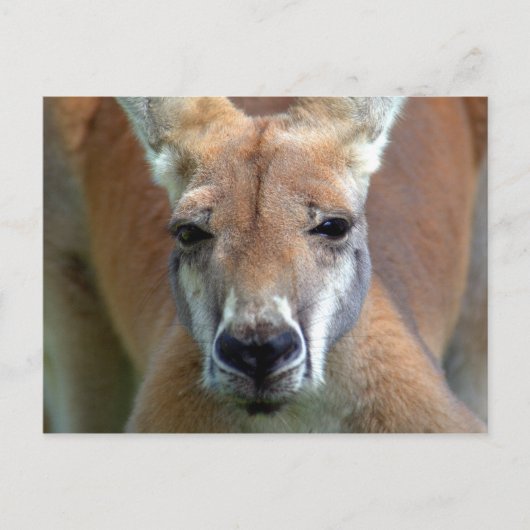 Carte Postale aller (Devant)