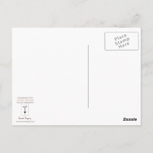 Carte Postale Aller de l'avant Équipe de migration des oiseaux I (Dos)