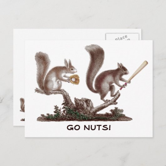 Carte Postale Aller Nuts Rally Squirrel Salutations de St Louis! (Devant / Derrière)