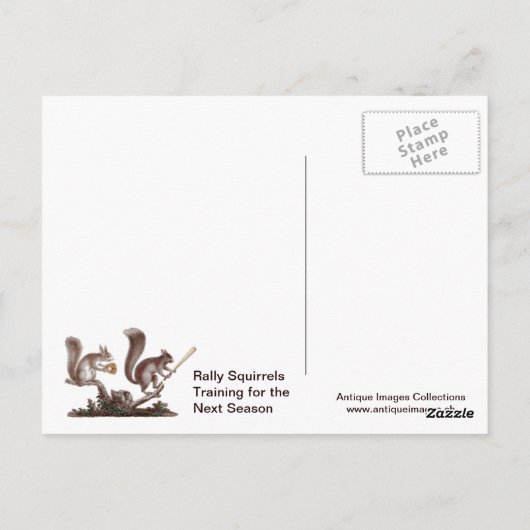 Carte Postale Aller Nuts Rally Squirrel Salutations de St Louis! (Dos)