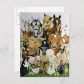 Carte Postale Allergies animales (Devant / Derrière)