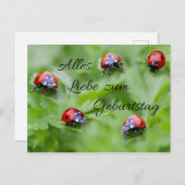 Carte Postale Alles Liebe zum Geburtstag ! (Devant / Derrière)