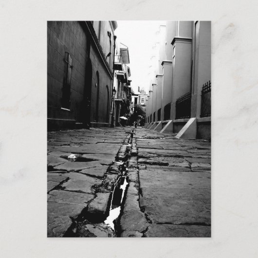 Carte Postale Alley de la Nouvelle-Orléans (Devant)