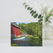 Carte Postale Alley Spring (Debout devant)