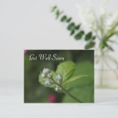 Carte Postale allez bien, fleur de framboise sauvage d'été (Debout devant)