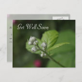 Carte Postale allez bien, fleur de framboise sauvage d'été (Devant / Derrière)