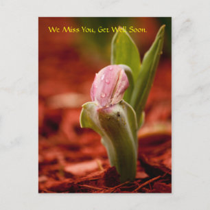 Carte Postale Allez-y bientôt