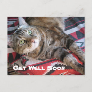 Carte Postale Allez-y Chat bientôt