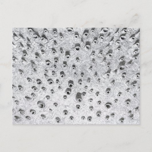 Carte Postale allí, un monde plus sec (Devant)