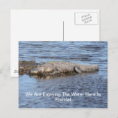 Carte Postale Alligator (Devant / Derrière)