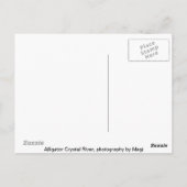 Carte Postale Alligator (Dos)