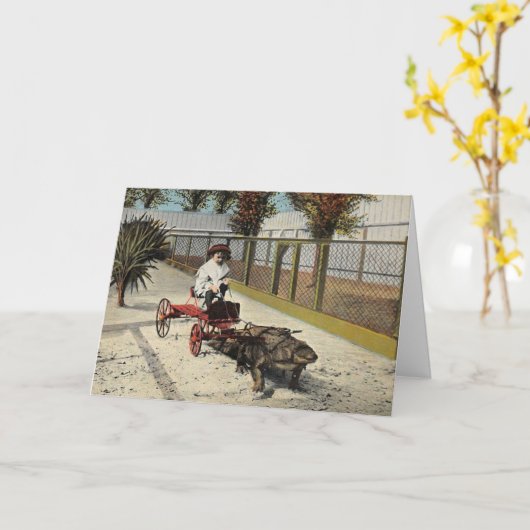 Carte postale Alligator (Fleur jaune)