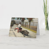 Carte postale Alligator (Devant)