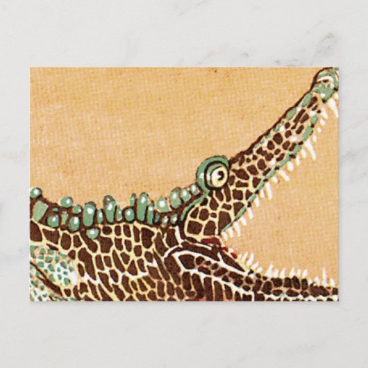 Carte Postale Alligator (Devant)