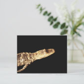 Carte Postale Alligator #2 (Debout devant)