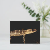 Carte Postale Alligator #3 (Debout devant)