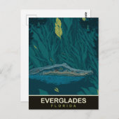 Carte Postale Alligator à Everglades, Floride, Voyage (Devant / Derrière)