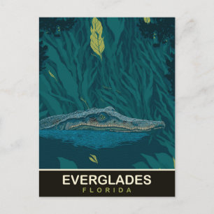 Carte Postale Alligator aux Everglades, Floride, Voyage
