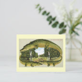 Carte Postale Alligator Border Cueillette D'oranges, Floride Vin (Debout devant)