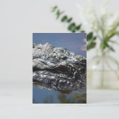 Carte Postale Alligator de Caroline du Nord (Debout devant)
