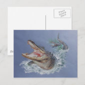 Carte Postale Alligator de Floride (Devant / Derrière)