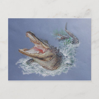 Carte Postale Alligator de Floride