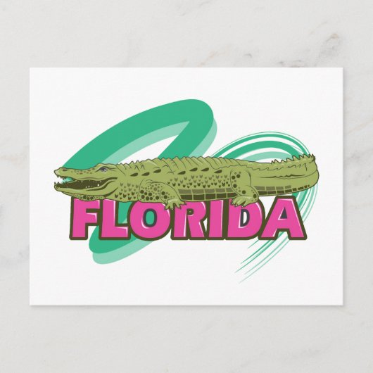 Carte Postale Alligator de Floride (Devant)