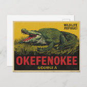 Carte Postale Alligator de marais Okefenokee Géorgie (Devant / Derrière)