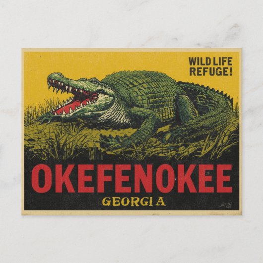 Carte Postale Alligator de marais Okefenokee Géorgie (Devant)
