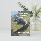 Carte Postale Alligator Everglades Photographie (Debout devant)