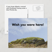 Carte Postale Alligator Florida Sun Photo 'Souhaitez Que Vous So (Devant / Derrière)