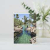 Carte Postale Alligator Hole, Black River Town, Jamaïque (Debout devant)