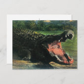 Carte postale Alligator mangeur d'hommes affamés (Devant / Derrière)