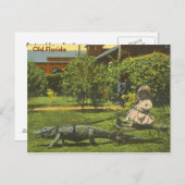 Carte Postale ALLIGATOR POWER, Vieux Floride (Devant / Derrière)