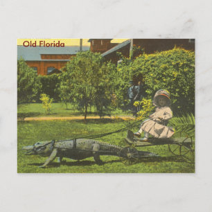 Carte Postale ALLIGATOR POWER, Vieux Floride
