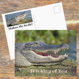Carte Postale Alligator souriant penser à vous