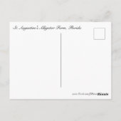 Carte Postale Alligators #5 (Dos)