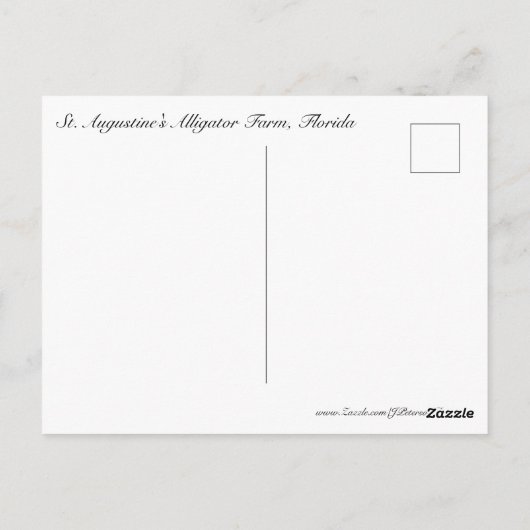 Carte Postale Alligators #5 (Dos)