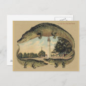 Carte Postale Alligators, Key West, FL (Devant / Derrière)