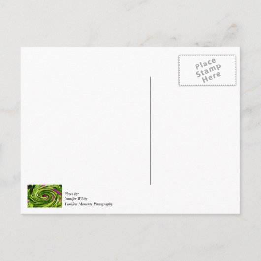 Carte Postale Allium Abstrait (Dos)