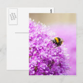 Carte Postale Allium avec l'abeille (Devant / Derrière)