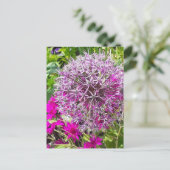 Carte postale Allium & Fleurs d'été (Debout devant)