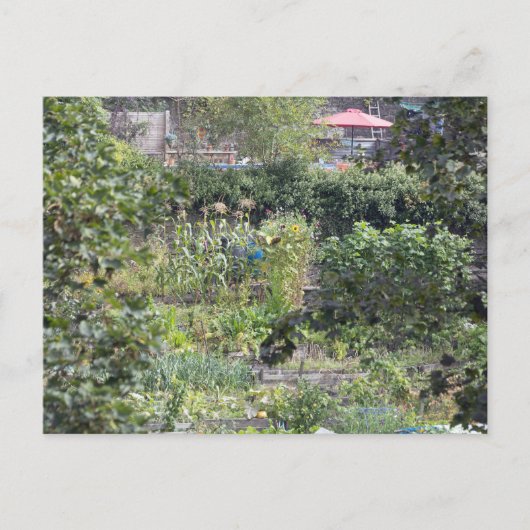 Carte Postale Allocations au pont Hebden (Devant)
