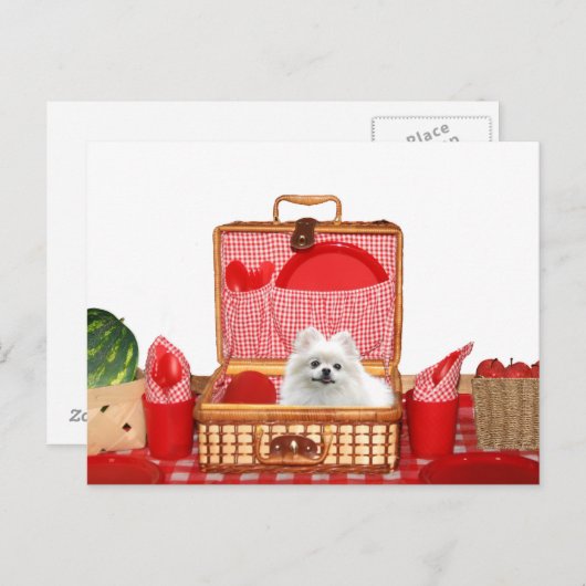 Carte Postale Allons déjeuner (Devant / Derrière)