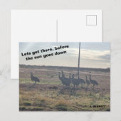 Carte Postale Allons-y (Devant / Derrière)