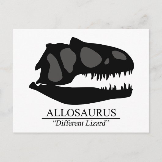 Carte Postale Allosaurus (Devant)