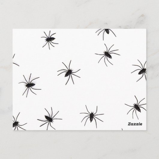Carte Postale Allover Araignées Halloween (Dos)
