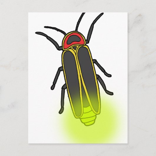 Carte Postale allumage d'un bogue (Devant)